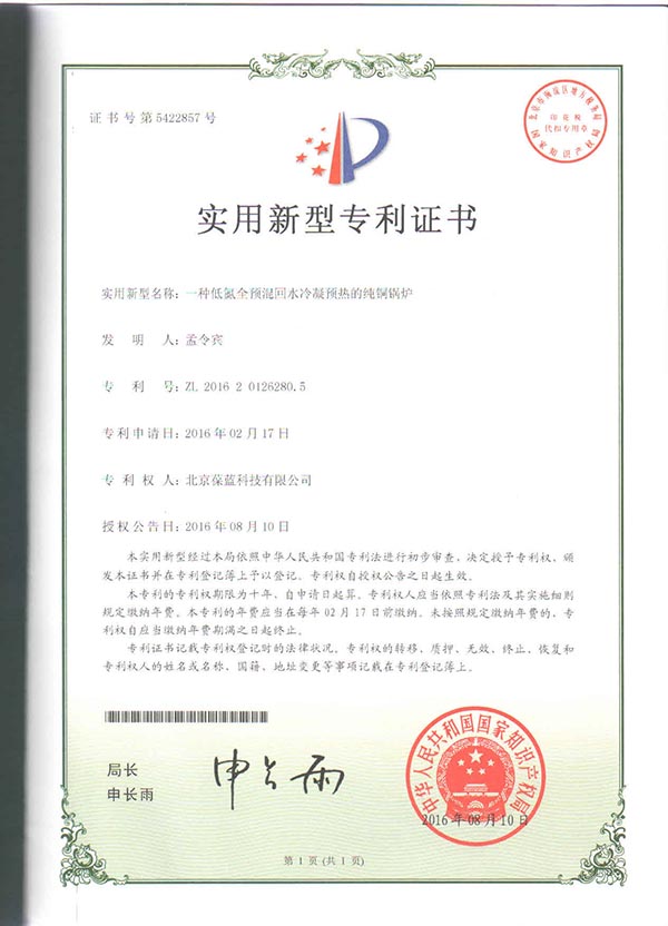 3133拉斯维加斯专低氮铜管锅炉 专利技术